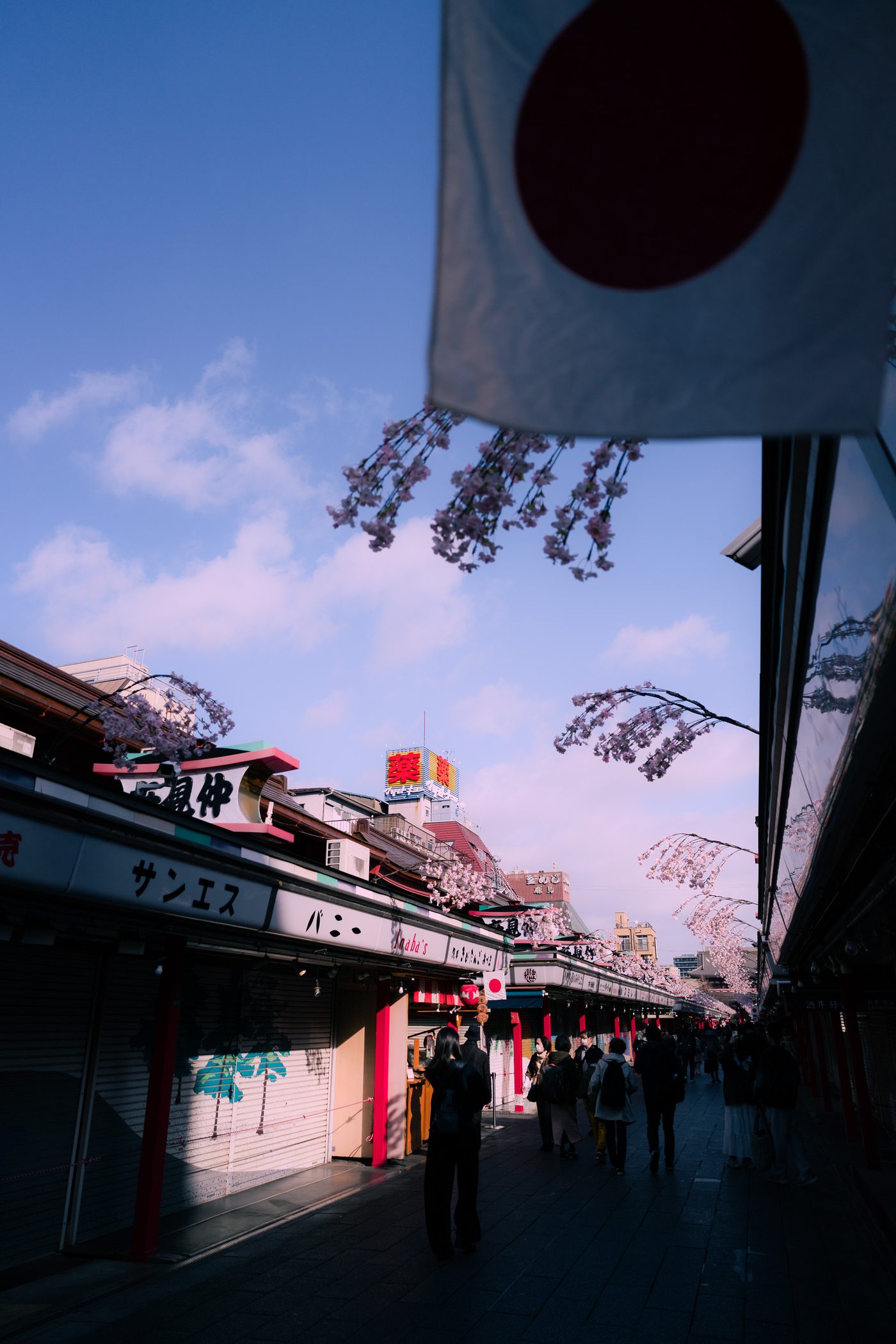 Shoppers move down a narrow market street in deep shade while a hanging flag, cherry branches and blue sky fill the light above.