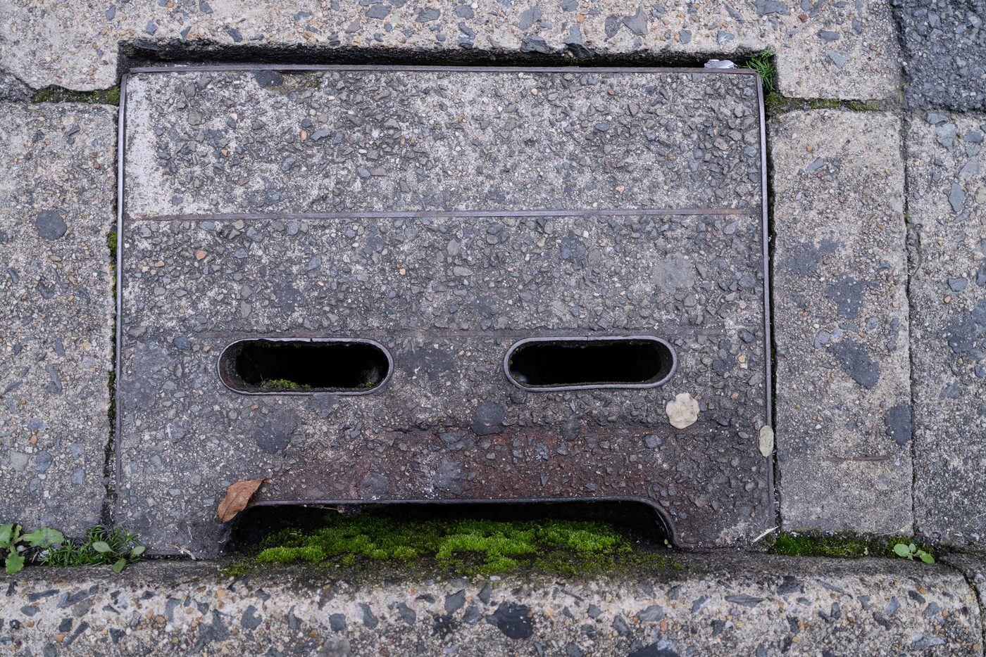 A rusted metal utility cover sits flush in concrete paving, two slotted openings above a fringe of bright green moss and a single dried leaf.