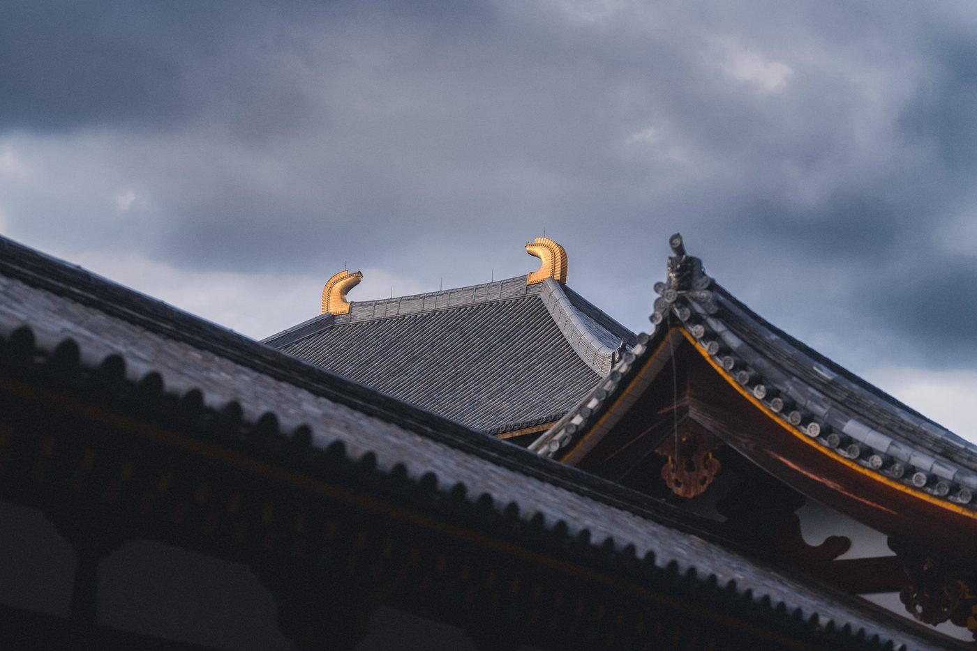 Two tiled temple roofs overlap against heavy grey cloud, gilded ridge ornaments on the far ridgeline catching the last warm light.