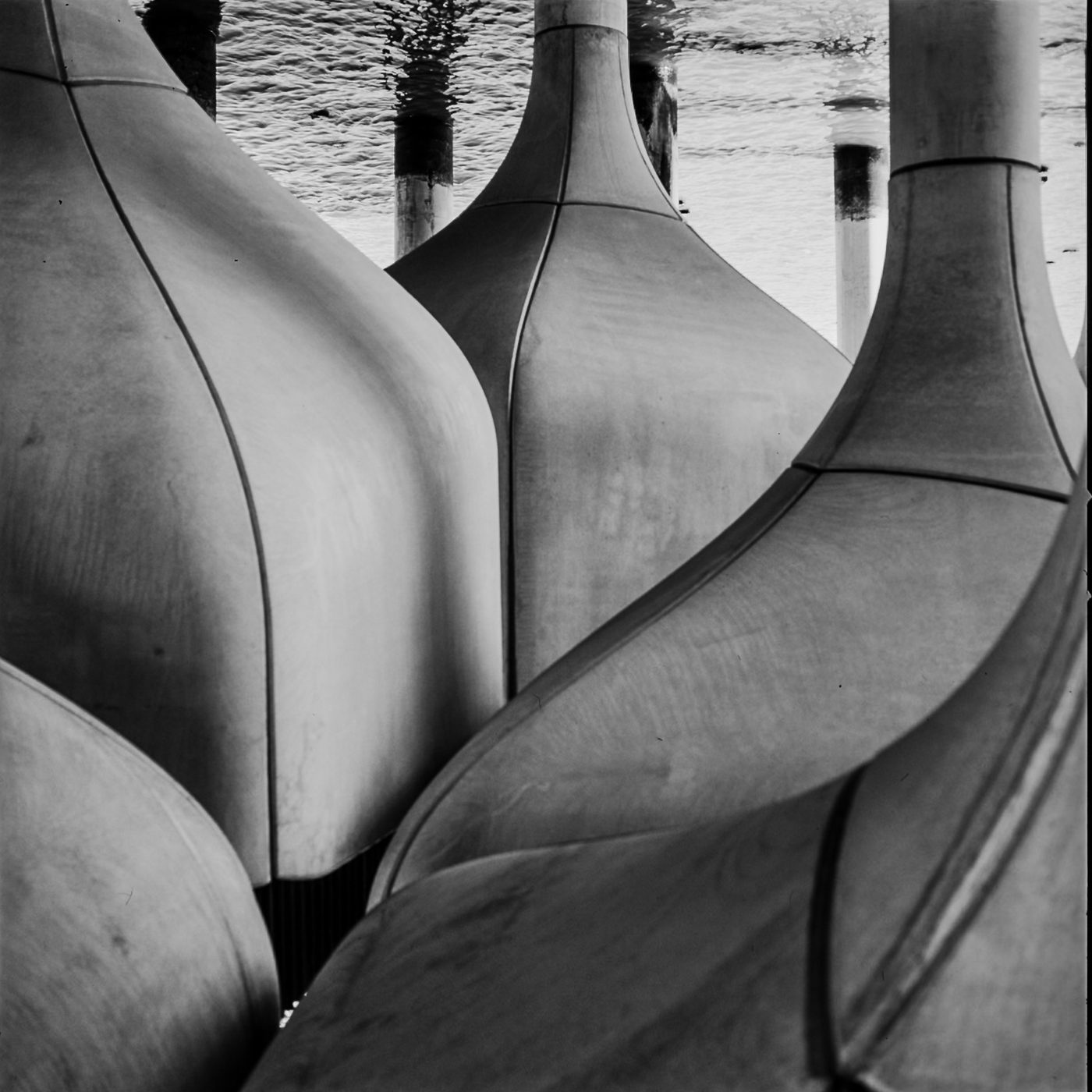 Overlapping curved metal canopies fill the frame in black and white, wooden pilings and rippled harbor water visible beyond them.